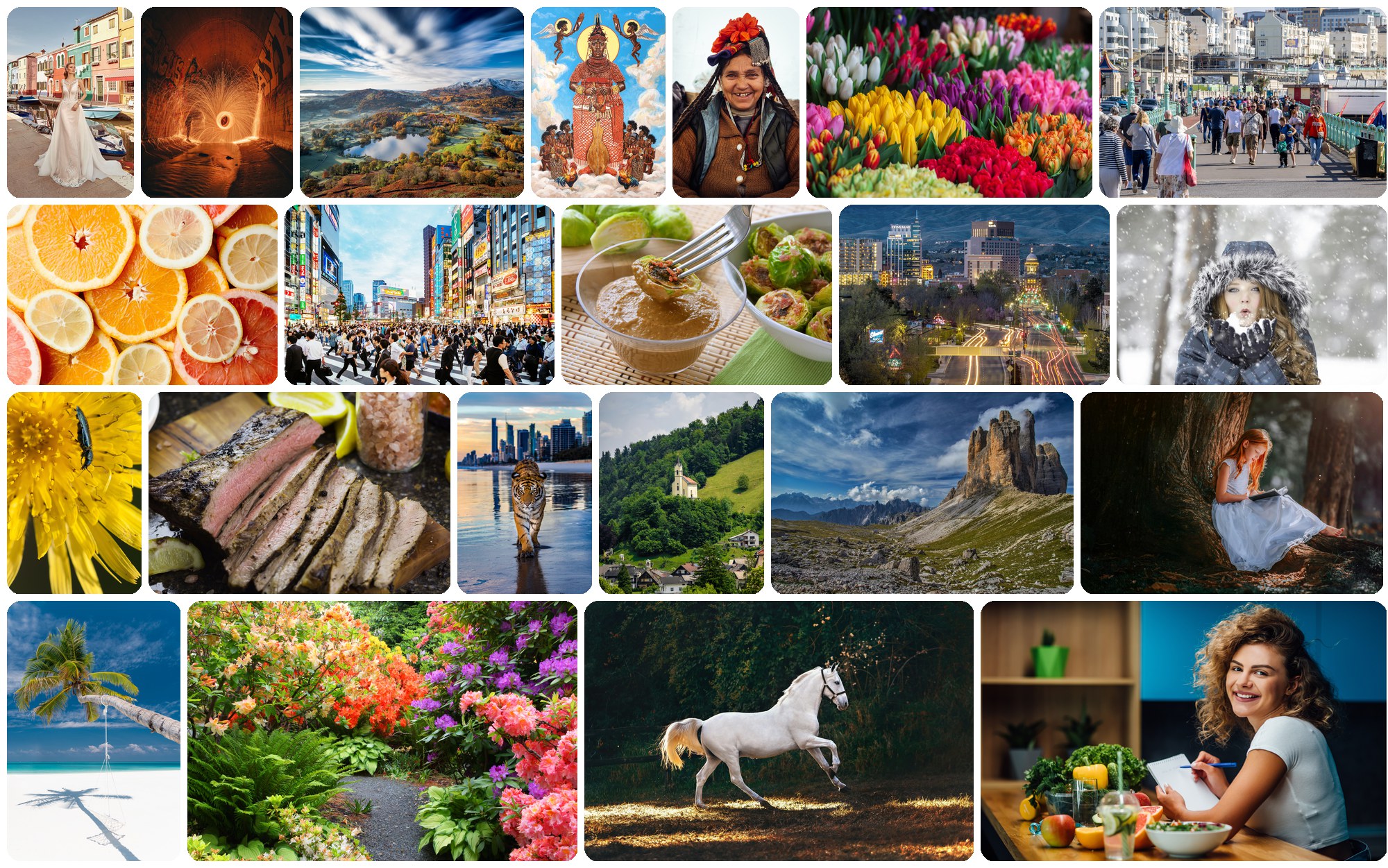 4KLSDB example images
